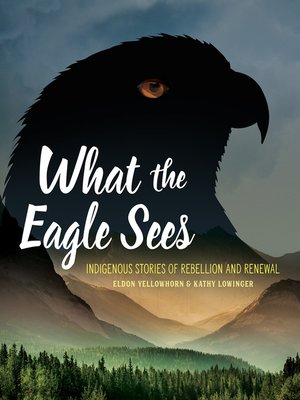 cover image of What the Eagle Sees